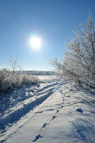 Vista sulla campagna invernale — Foto Stock