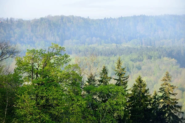 Vista para o vale de Gauja na primavera em Sigulda, Letónia — Fotografia de Stock