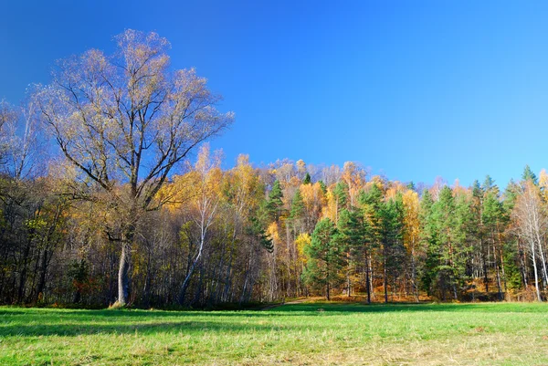 Paisaje clásico de otoño —  Fotos de Stock