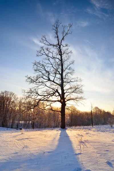 Winter countyside view — Stock Photo, Image