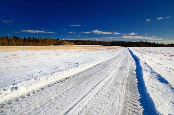 ग्रामीण क्षेत्र में एक सड़क का क्लासिक शीतकालीन दृश्य — स्टॉक फ़ोटो, इमेज