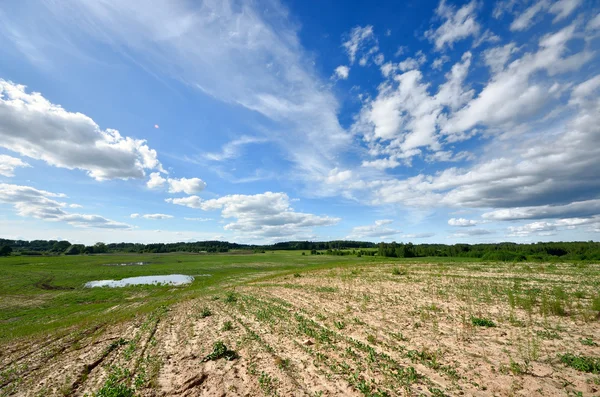 고전적 인 시골 풍경. 푸른 하늘을 배경으로 초록색 들판 — 스톡 사진