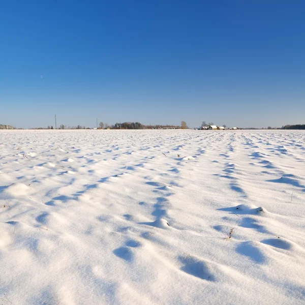 Vintern landsbygden Visa — Stockfoto