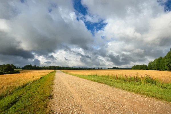 Campo de carretera y cereales contra nubes oscuras y tormentosas — Foto de Stock