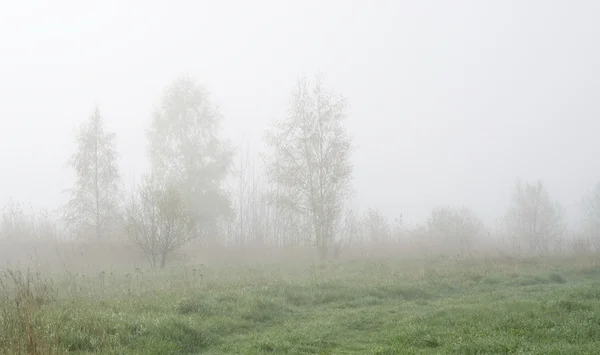 Paisagem rural em nevoeiro — Fotografia de Stock