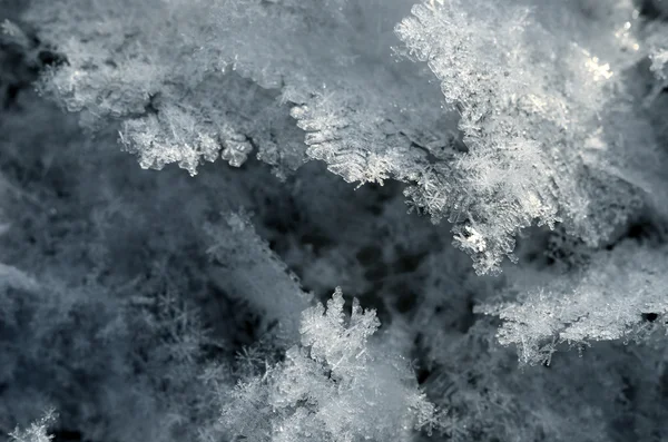 雪晶体特写 — 图库照片