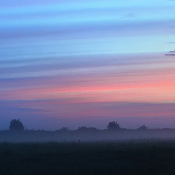Nascer do sol colorido no campo com nevoeiro da manhã — Fotografia de Stock