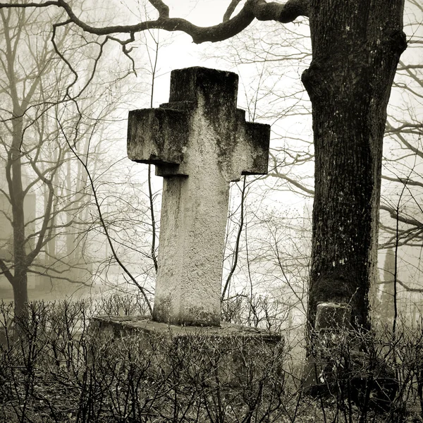 Kereszt a temetőben ködben — Stock Fotó