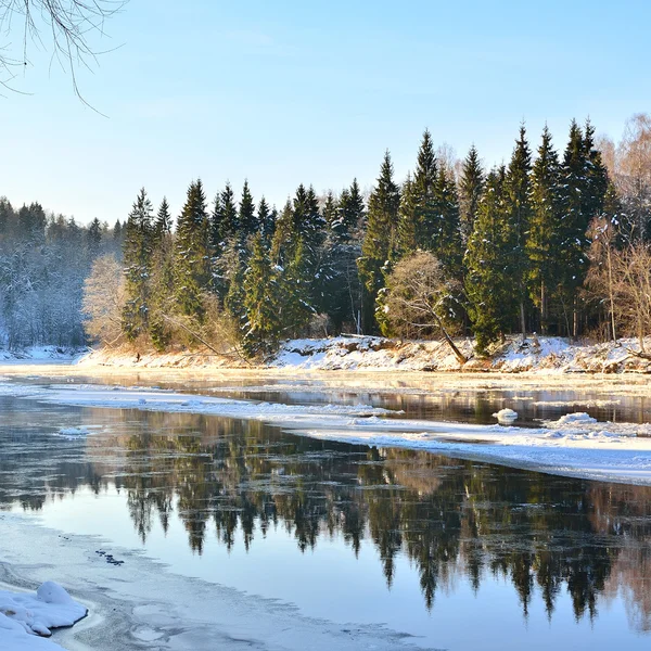 Gauja folyó völgyében téli táj. Sigulda, Lettország — Stock Fotó