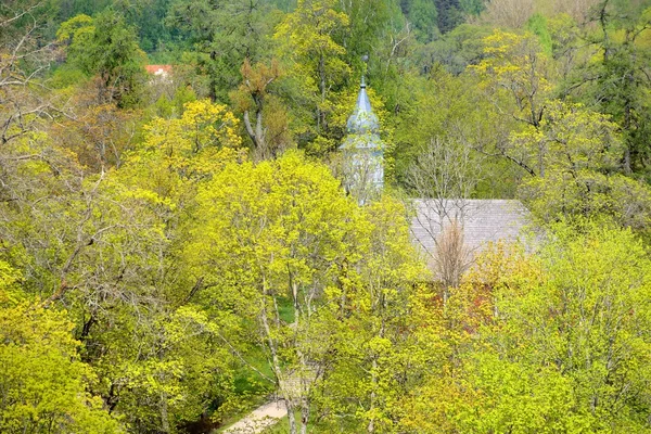 Widok na dolinę Gauji wiosną w sigulda, Łotwa — Zdjęcie stockowe