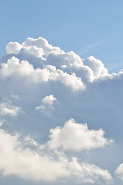 Classico paesaggio nuvoloso. Cielo blu con nuvole ornamentali — Foto Stock