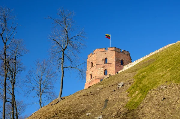 De Gediminas toren in vilnius, Litouwen — Stockfoto