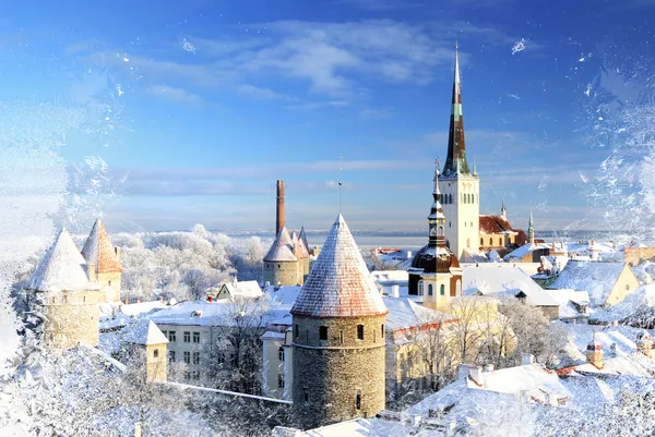 Města Tallinn. Estonsko. sníh na stromech v zimě — Stock fotografie