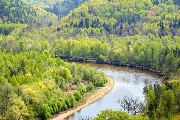 Areal view on Gauja river valley in spring in Sigulda, Latvia — Stock Photo, Image