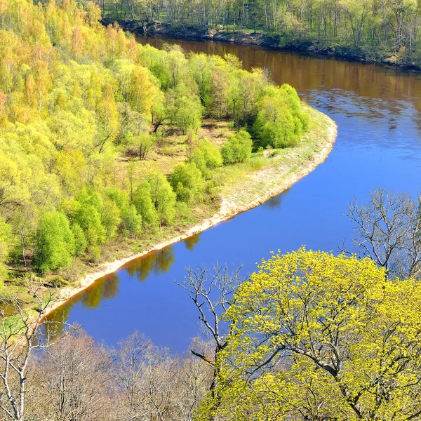 Areal view on Gauja river valley in spring in Sigulda, Latvia — Stock Photo, Image