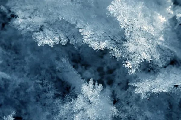 Kar kristalleri yakın çekim — Stok fotoğraf
