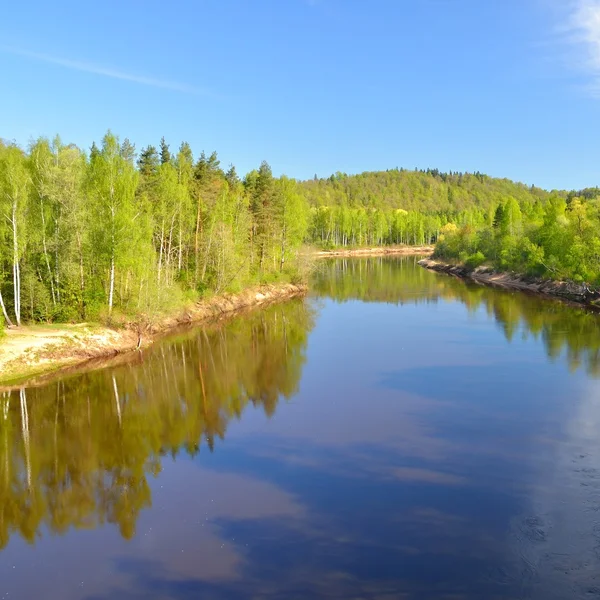 Gauja rivier in lentemorgen in sigulda, Letland — Stockfoto