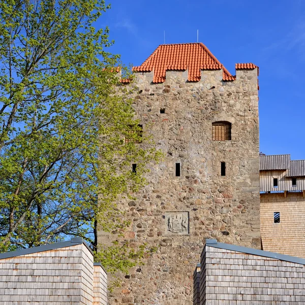 Sigulda castle — Stock Photo, Image