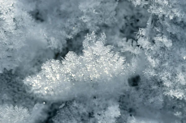 Hó kristályok közelről — Stock Fotó