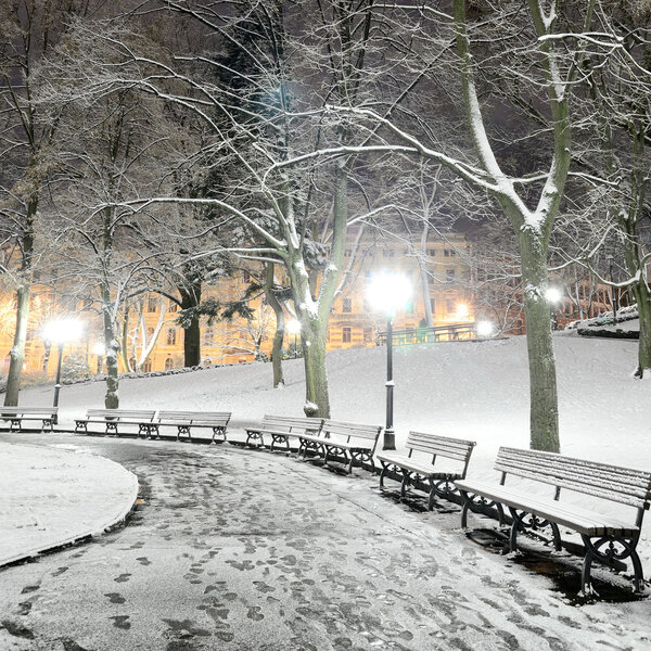Snow on trees in Riga park by night