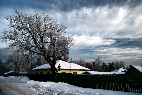 村の雪とツリー — ストック写真