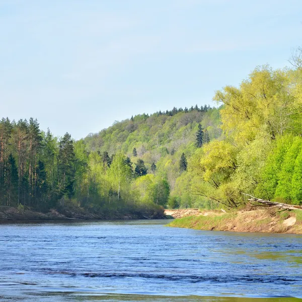 Gauja river in spring morning in Sigulda, Lativa — Stock Photo, Image