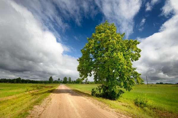Зеленое поле и дорога против бурного неба — стоковое фото