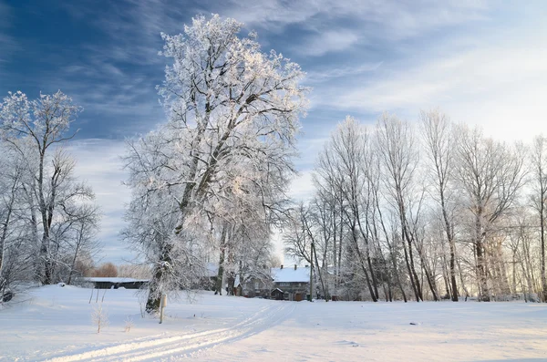 Vista para o campo de Inverno — Fotografia de Stock