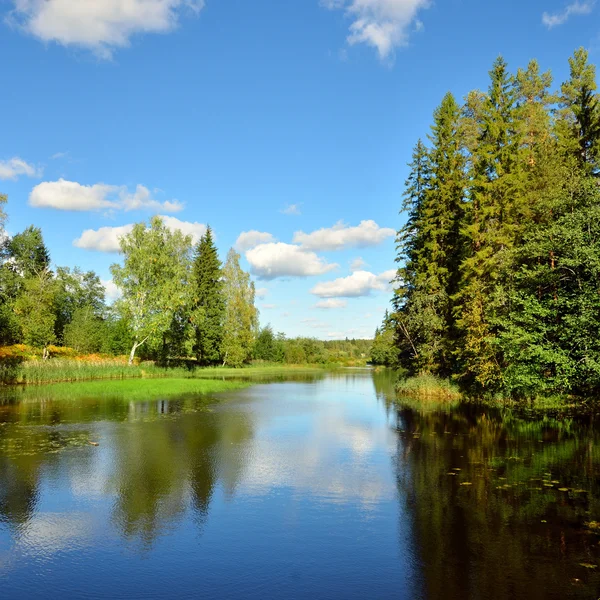 Rivier en forest scène in de herfst — Stockfoto