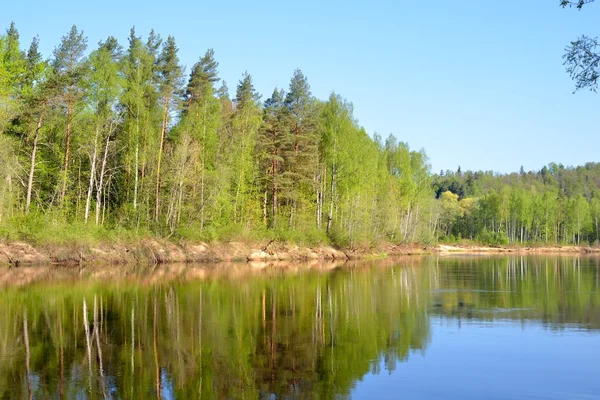 Gauja rivier in lentemorgen in sigulda, Letland — Stockfoto