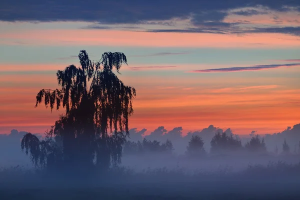 Nascer do sol colorido no campo com nevoeiro da manhã — Fotografia de Stock