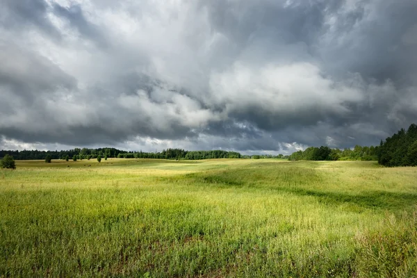 Green field against dark stormy clouds — Stock Photo, Image