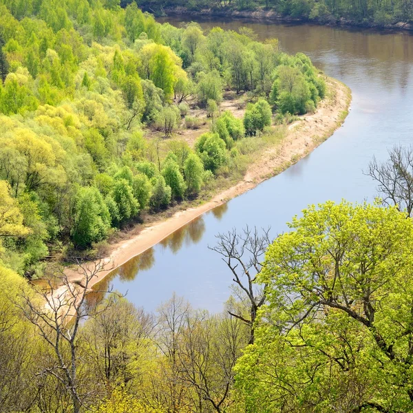 Areal view on Gauja river valley in spring in Sigulda, Latvia — Stock Photo, Image