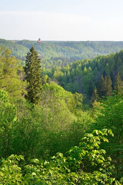 Переглянути на Turaida замок і Гауя Долина навесні в Сигулда, Латвія — стокове фото