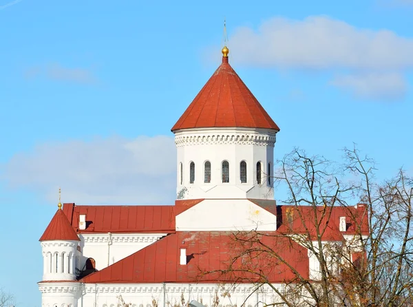 Catedral Ortodoxa de los Theotokos en Vilna —  Fotos de Stock