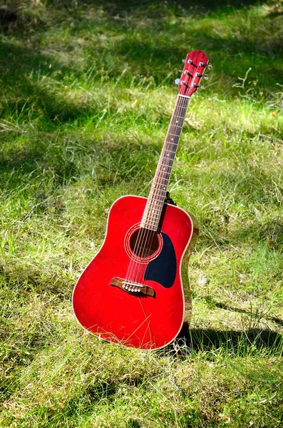 Gitarrenakustik im Gras im Wald — Stockfoto