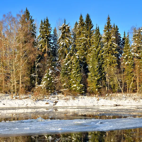 Valle del río Gauja paisaje invernal. Sigulda, Letonia — Foto de Stock