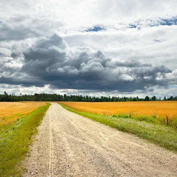 Road és a gabona a mező ellen a sötét, viharos felhők — Stock Fotó