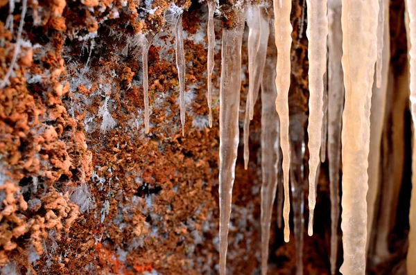 Groep voor icicles — Stockfoto