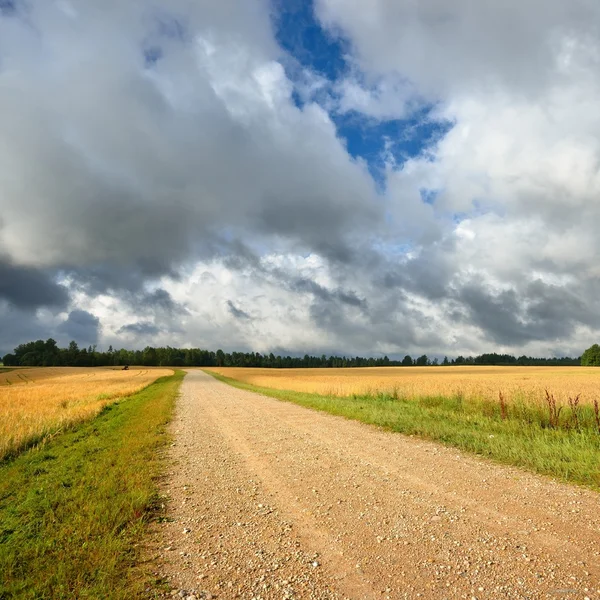 Campo de carretera y cereales contra nubes oscuras y tormentosas — Foto de Stock