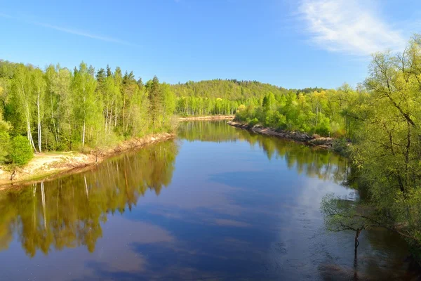 Gauja river in spring morning in Sigulda, Lativa — Stock Photo, Image