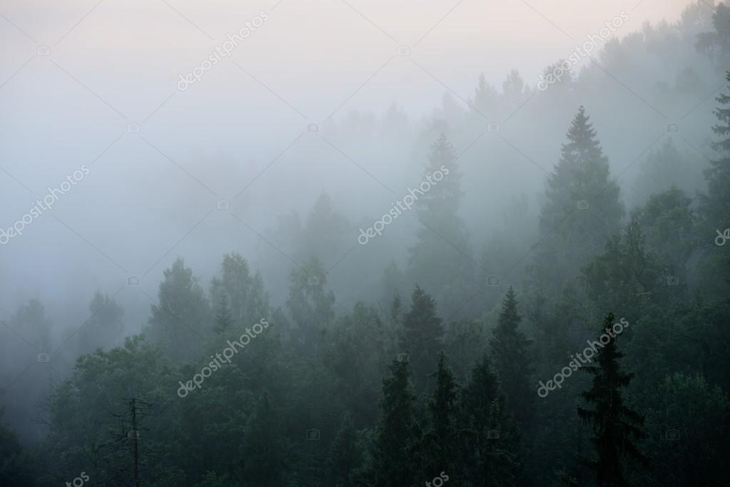 alex.stemmer