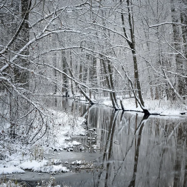 Vorheriger Fluss im Winter — Stockfoto