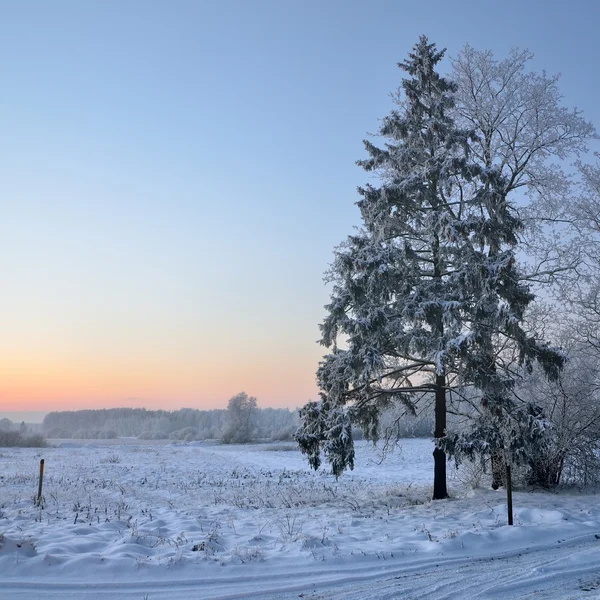 Winter landschap weergave — Stockfoto