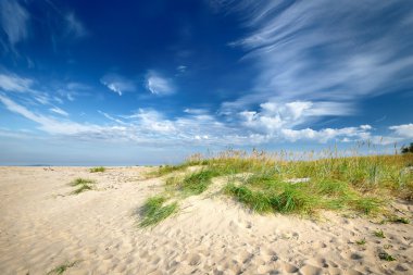 Mavi gökyüzü karşı Baltık Denizi kıyısında kumlu plaj
