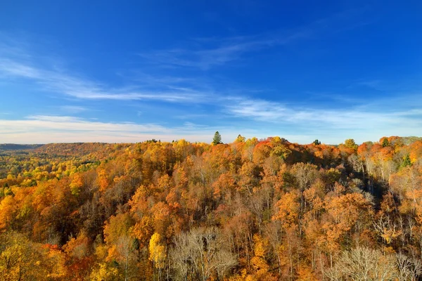 Kolorowe wzgórza lasu jesienią. Sigulda, Łotwa. — Zdjęcie stockowe