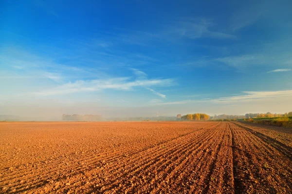 Orange soil field against blue sky in Latvia — Stock Photo, Image