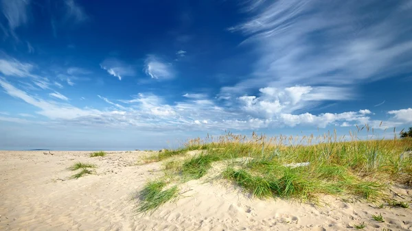Mavi gökyüzü karşı Baltık Denizi kıyısında kumlu plaj — Stok fotoğraf