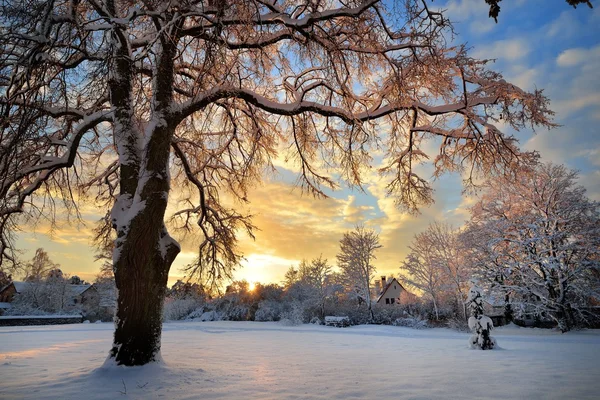 Schneebedeckte Winterlandschaft bei Sonnenuntergang in Lettland — Stockfoto