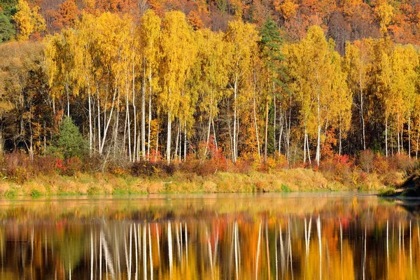 Jesień rzeki gauja w sigulda, Łotwa. krajobraz z odbiciem — Zdjęcie stockowe